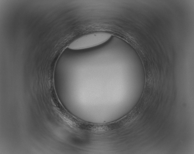 X0000053010402200507081027