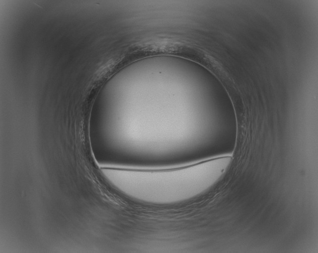 X0000053010403200507081027