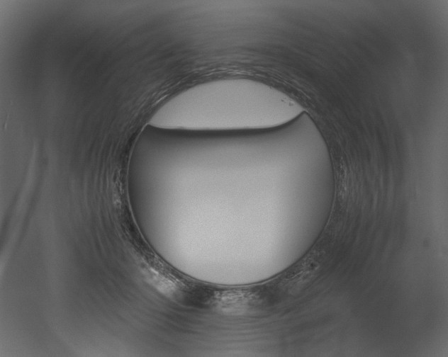 X0000053010414200507081026