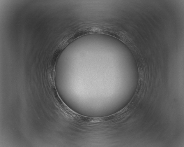 X0000053010415200507081026