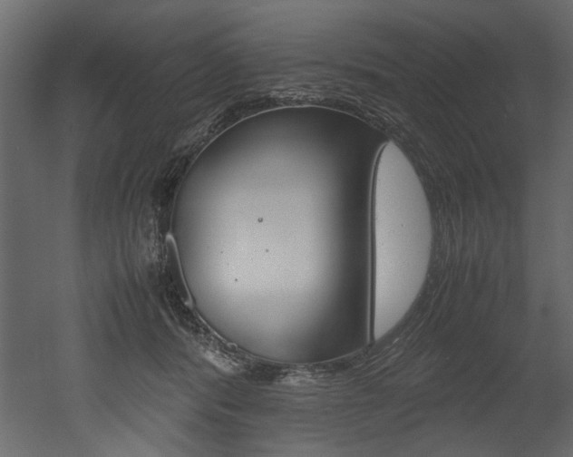 X0000053010416200507081026