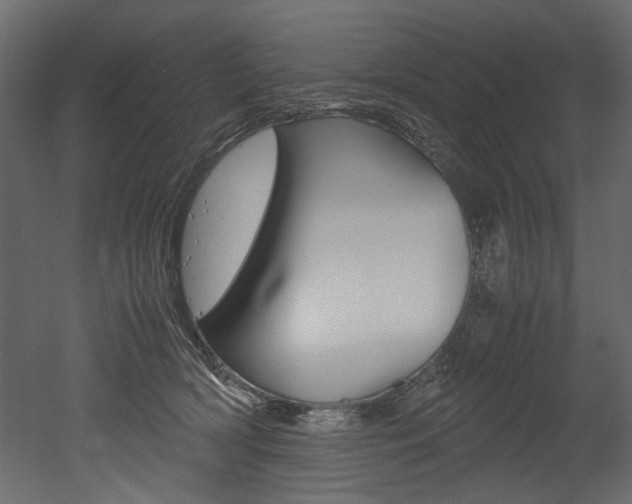 X0000053010418200507081026