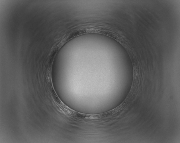 X0000053010419200507081026