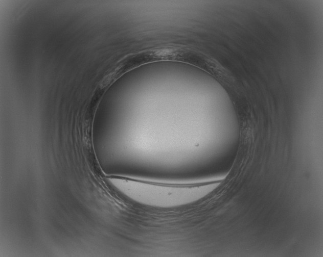 X0000053010421200507081026