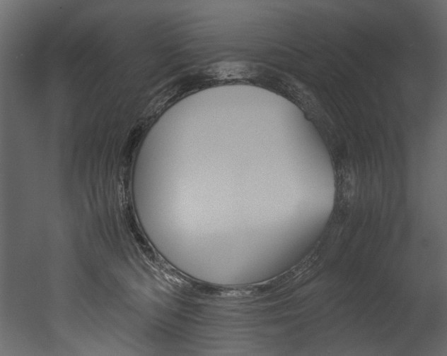 X0000053010422200507081026