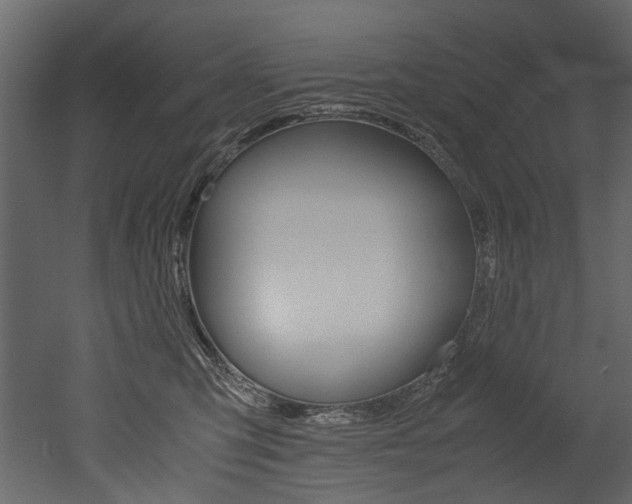 X0000053010423200507081026