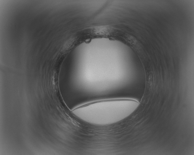 X0000053010424200507081026