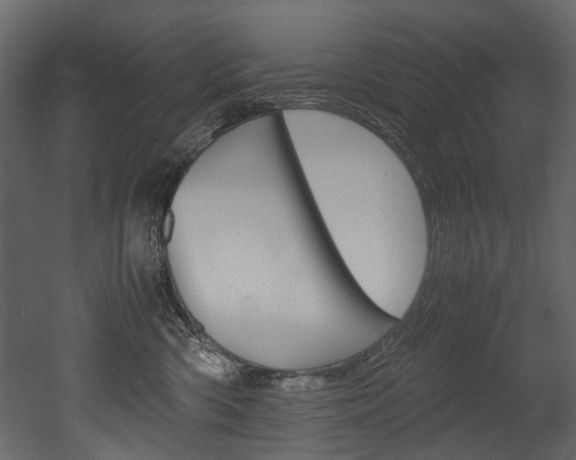 X0000053010426200507081026