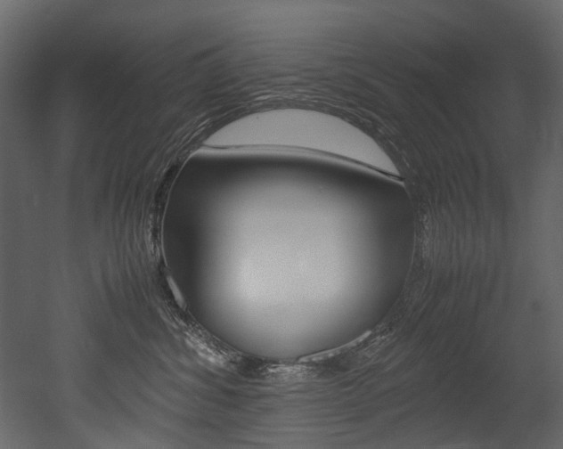 X0000053010428200507081026