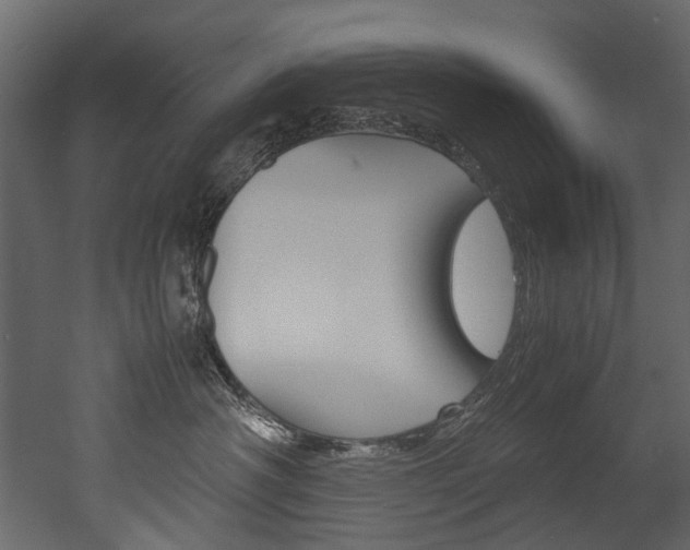X0000053010430200507081026