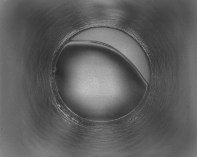 X0000053010434200507081025