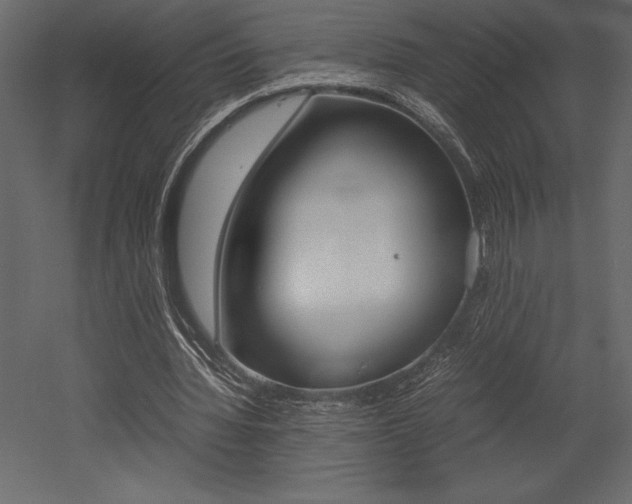 X0000053010436200507081025