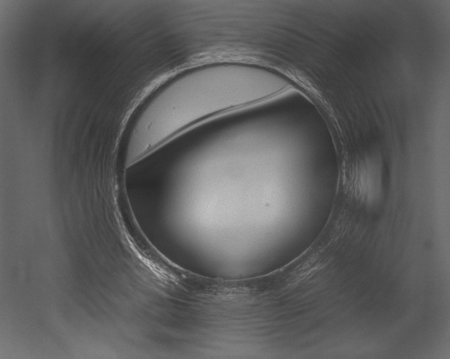 X0000053010438200507081025