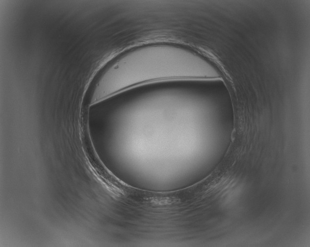 X0000053010439200507081025
