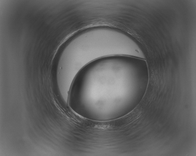 X0000053010440200507081025