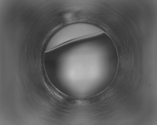 X0000053010442200507081025