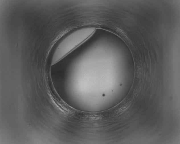 X0000053010443200507081025