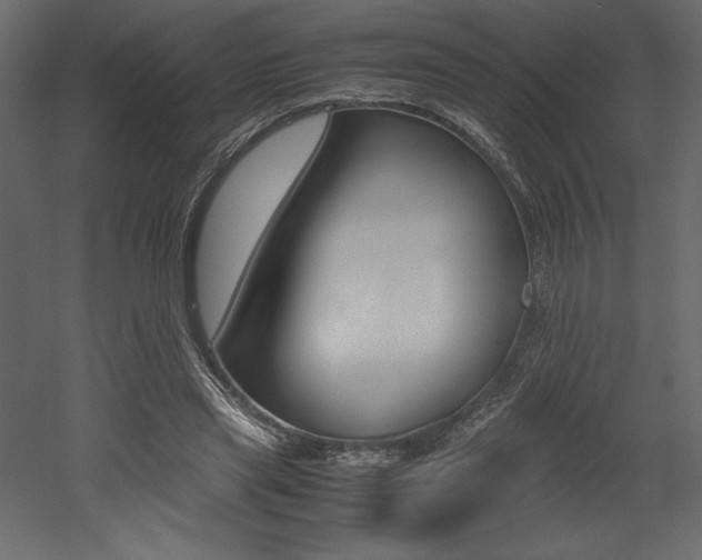 X0000053010445200507081025