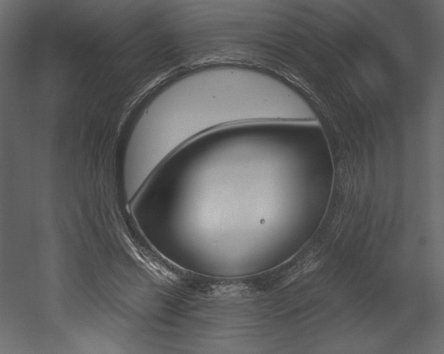 X0000053010446200507081025