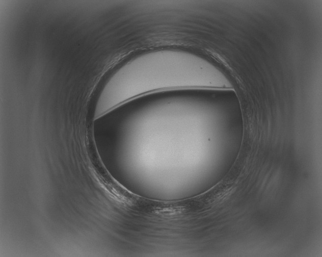 X0000053010447200507081026