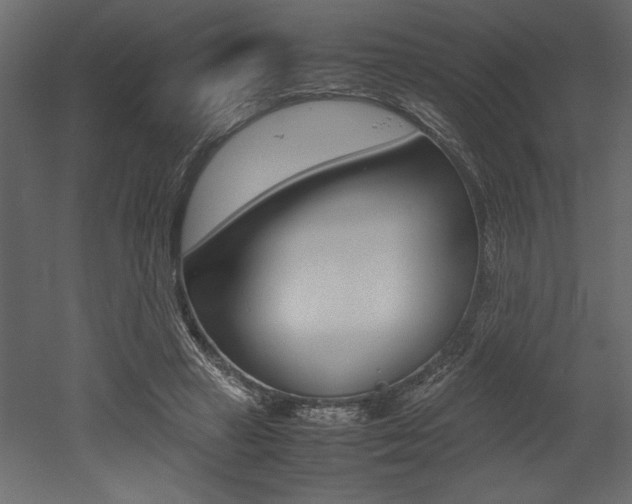 X0000053010449200507081026
