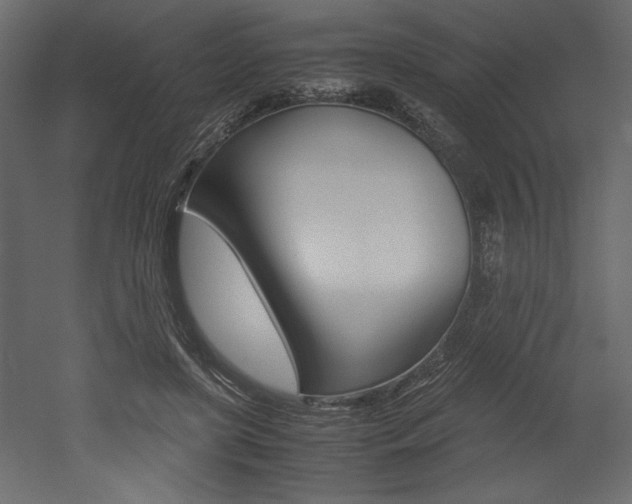 X0000053010451200507081026