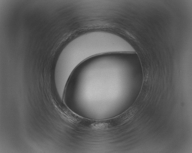 X0000053010452200507081026