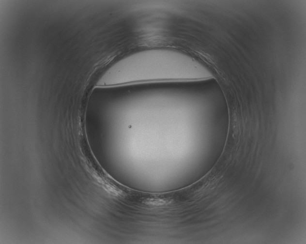X0000053010453200507081026