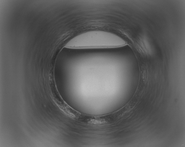 X0000053010455200507081026