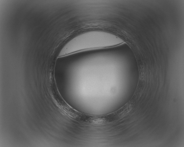 X0000053010456200507081026
