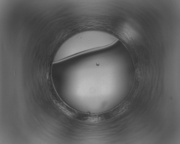 X0000053010458200507081026