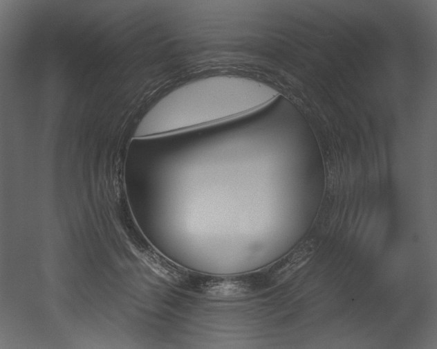 X0000053010460200507081026
