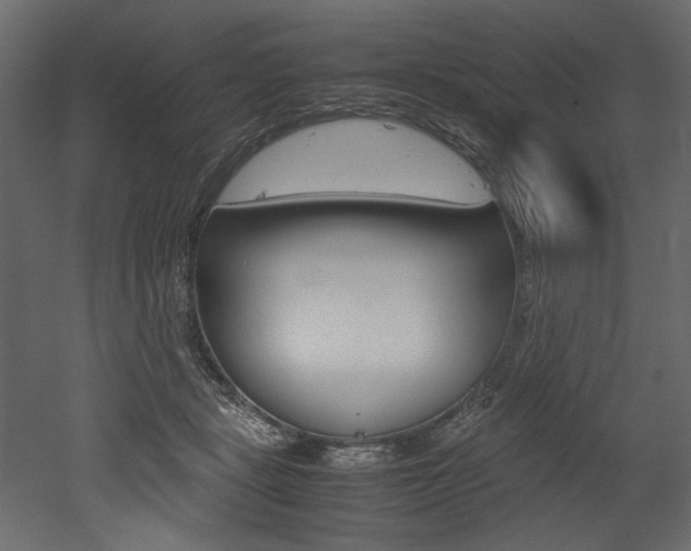 X0000053010461200507081026