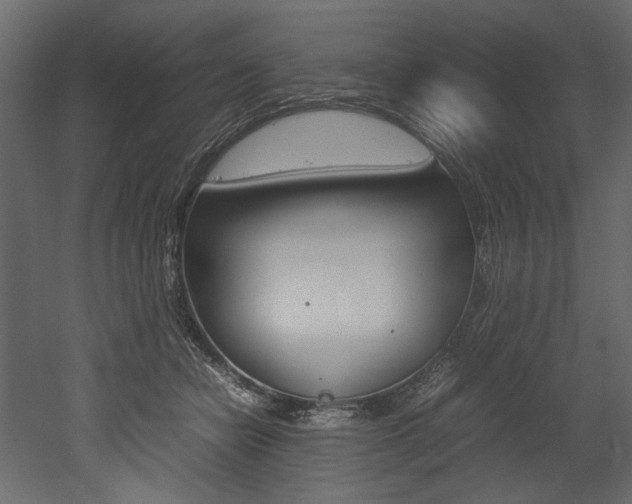 X0000053010462200507081026