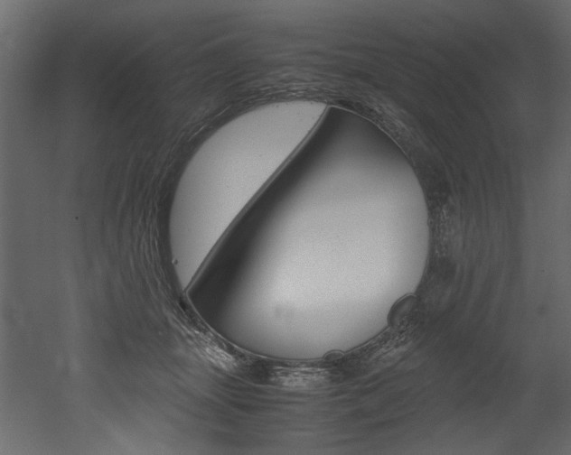 X0000053010463200507081026