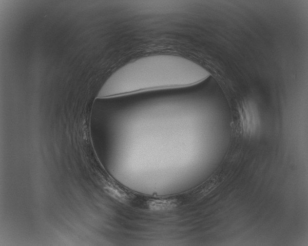 X0000053010465200507081026