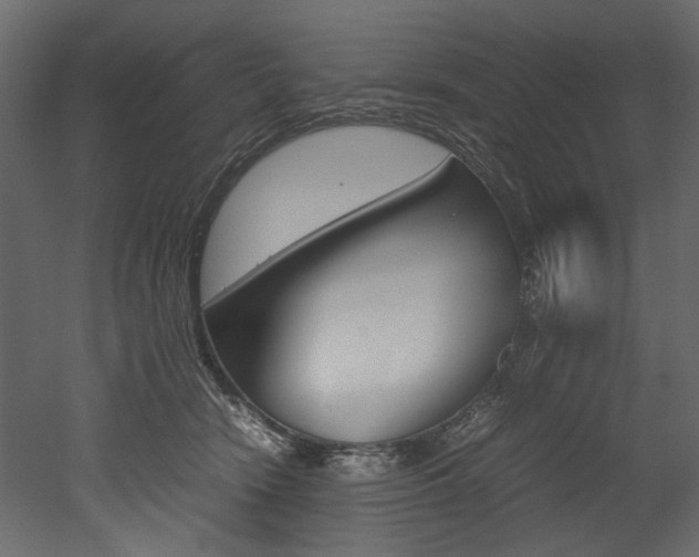X0000053010466200507081026