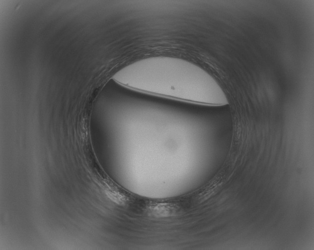 X0000053010467200507081026