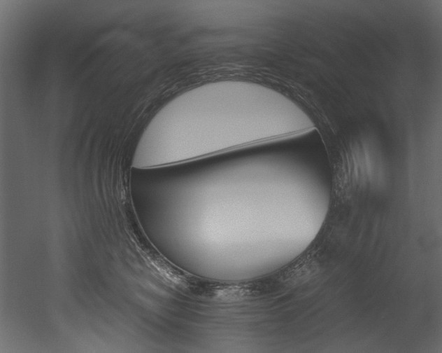 X0000053010470200507081026
