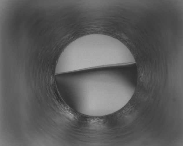 X0000053010471200507081026