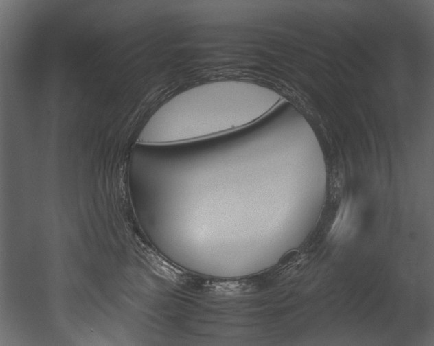 X0000053010473200507081026