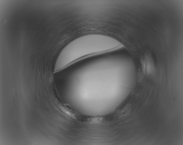 X0000053010474200507081026
