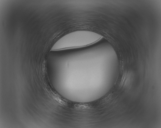X0000053010475200507081026