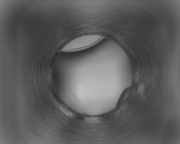 X0000053010476200507081026