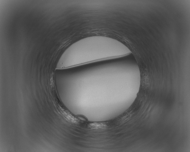 X0000053010477200507081026