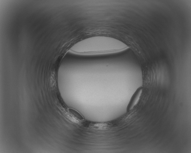 X0000053010478200507081026