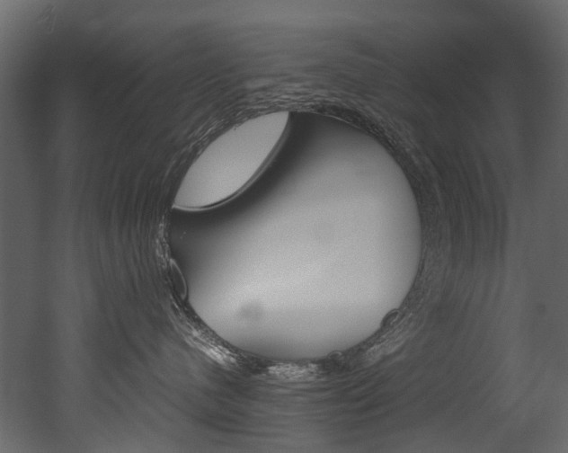 X0000053010480200507081026