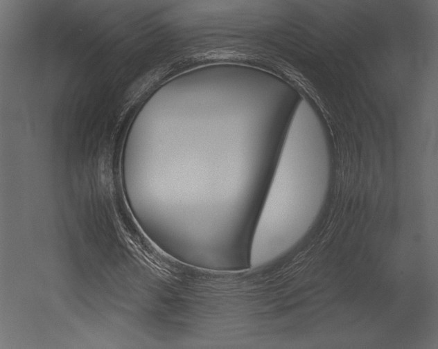 X0000053010482200507081025