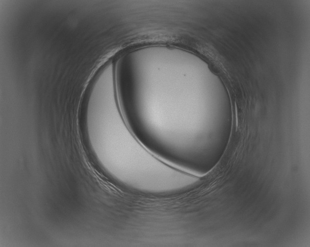 X0000053010483200507081025