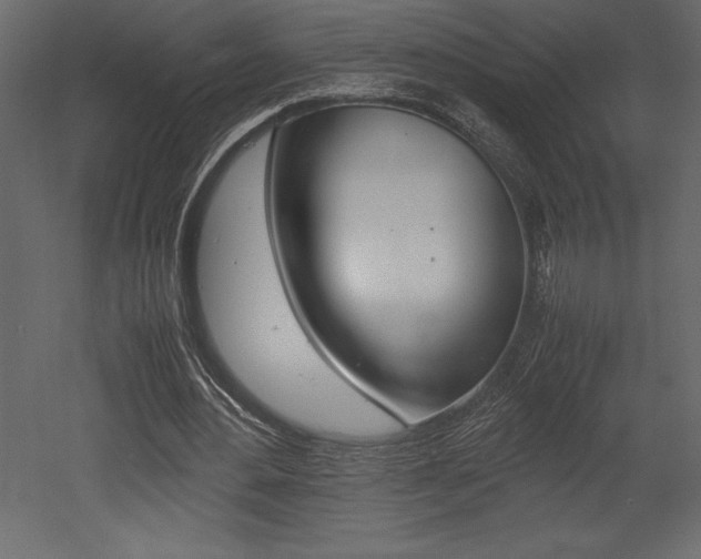 X0000053010484200507081025